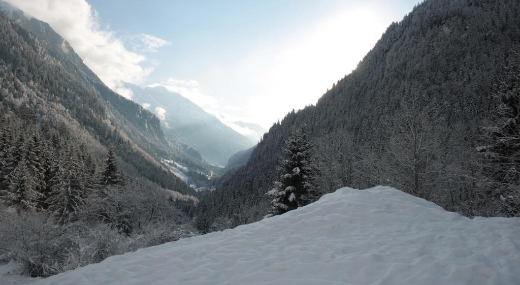 Apartments Haus Schoen - Preise Inclusive Pitztal Sommer Card Jerzens Exterior photo