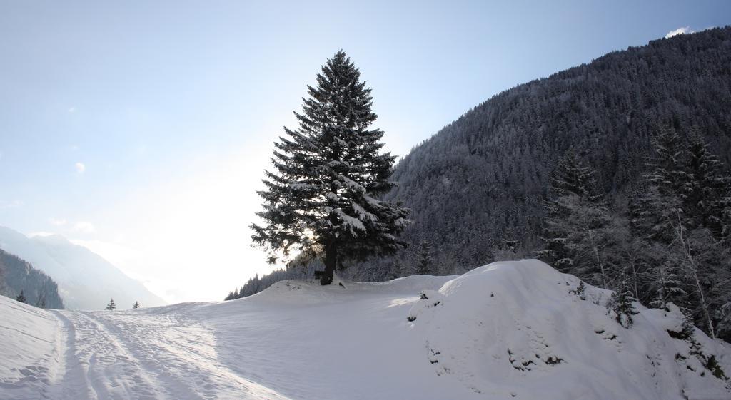 Apartments Haus Schoen - Preise Inclusive Pitztal Sommer Card Jerzens Exterior photo