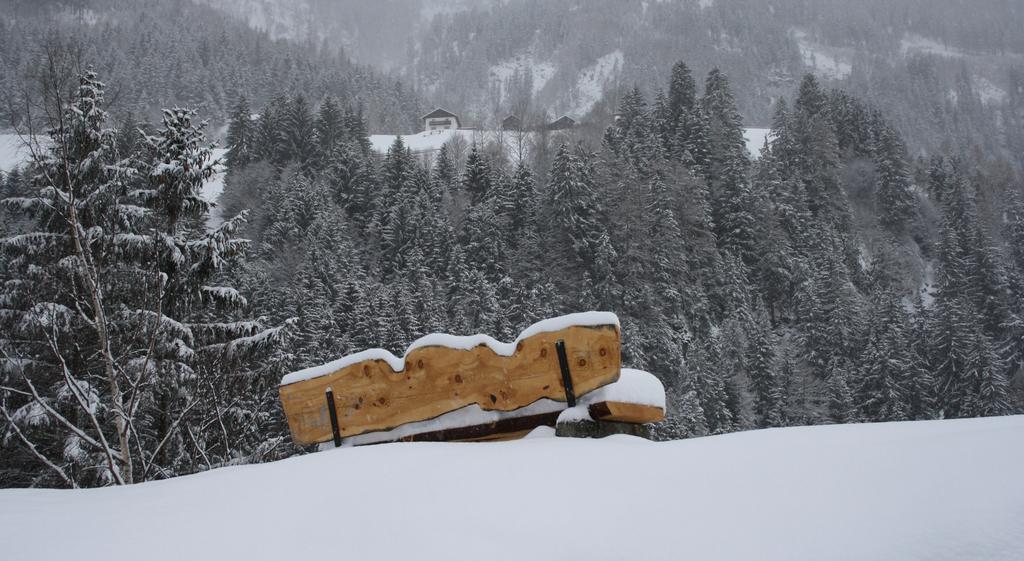 Apartments Haus Schoen - Preise Inclusive Pitztal Sommer Card Jerzens Exterior photo